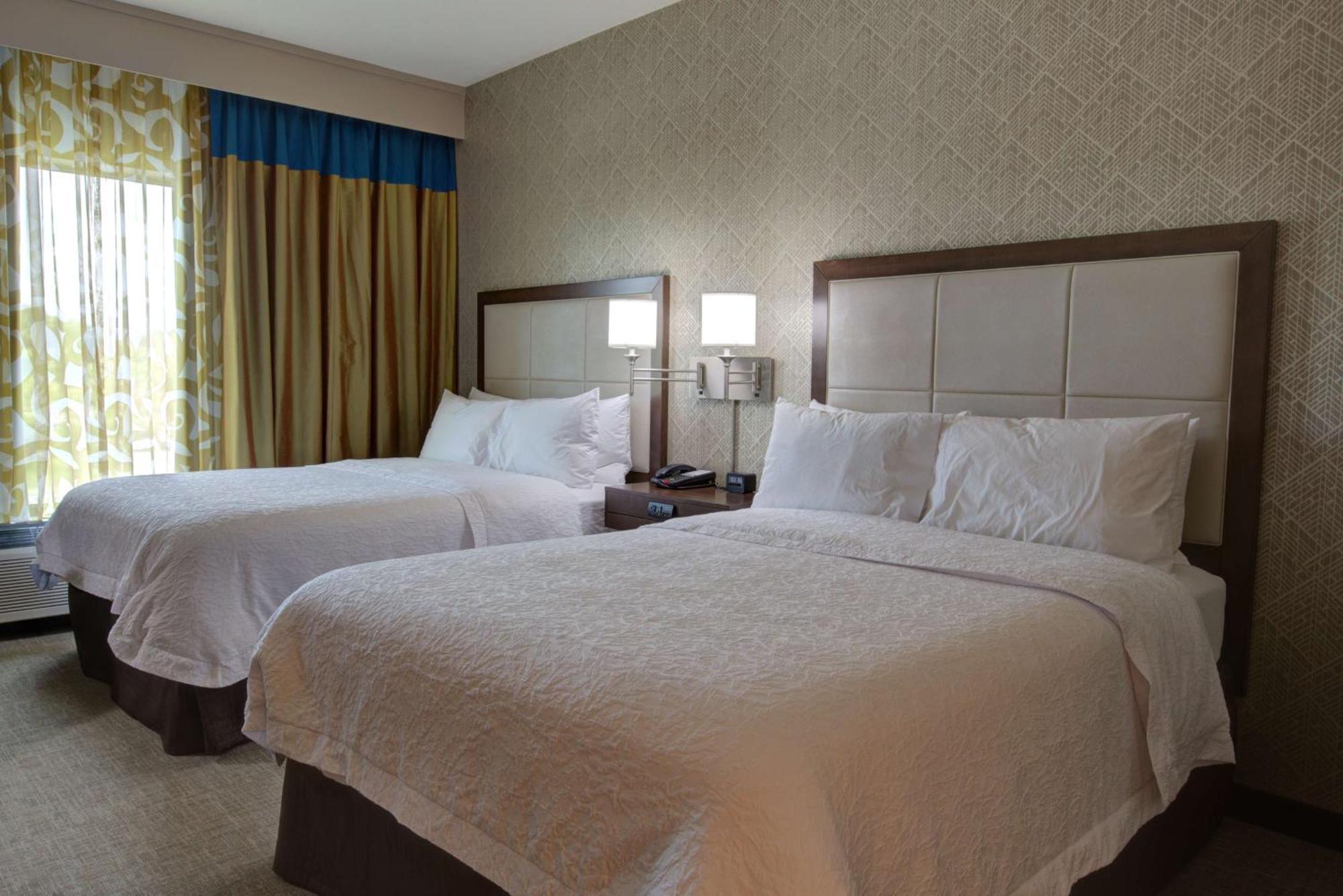 Hampton Inn & Suites By Hilton Tampa Busch Gardens Area Buitenkant foto